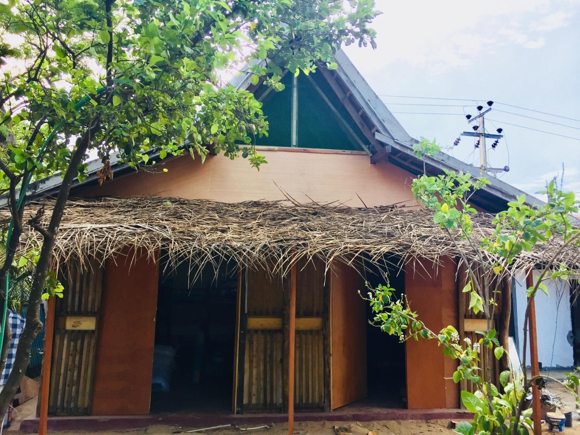 Lemon Tree Hostel Arugam Bay Exterior foto