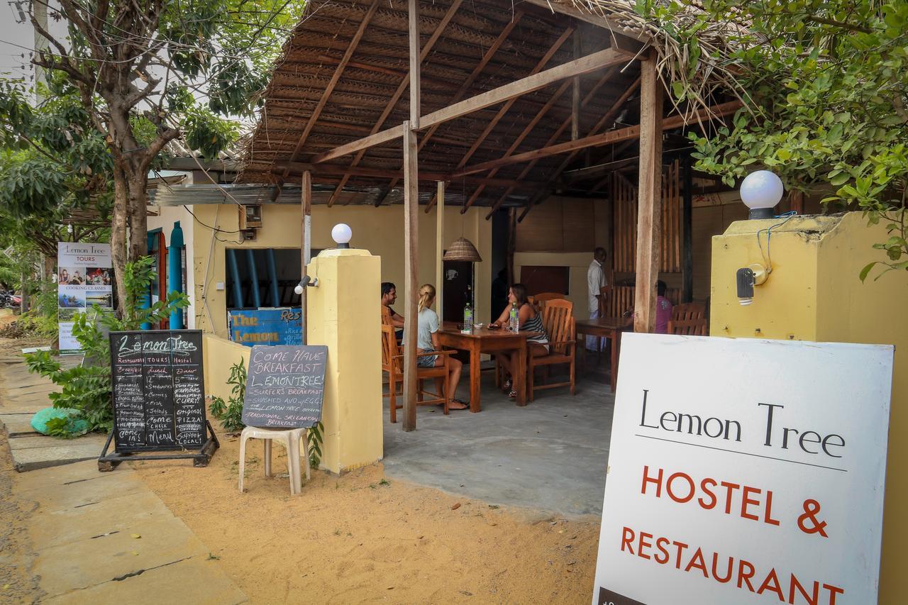 Lemon Tree Hostel Arugam Bay Exterior foto