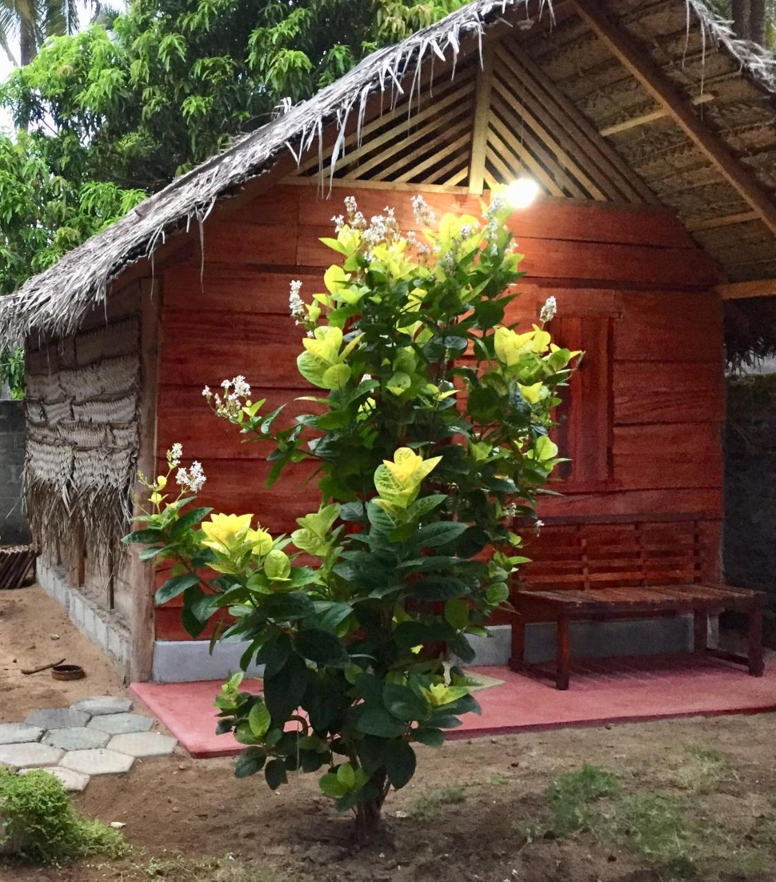 Lemon Tree Hostel Arugam Bay Exterior foto
