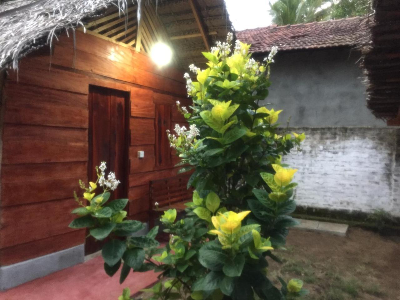 Lemon Tree Hostel Arugam Bay Exterior foto