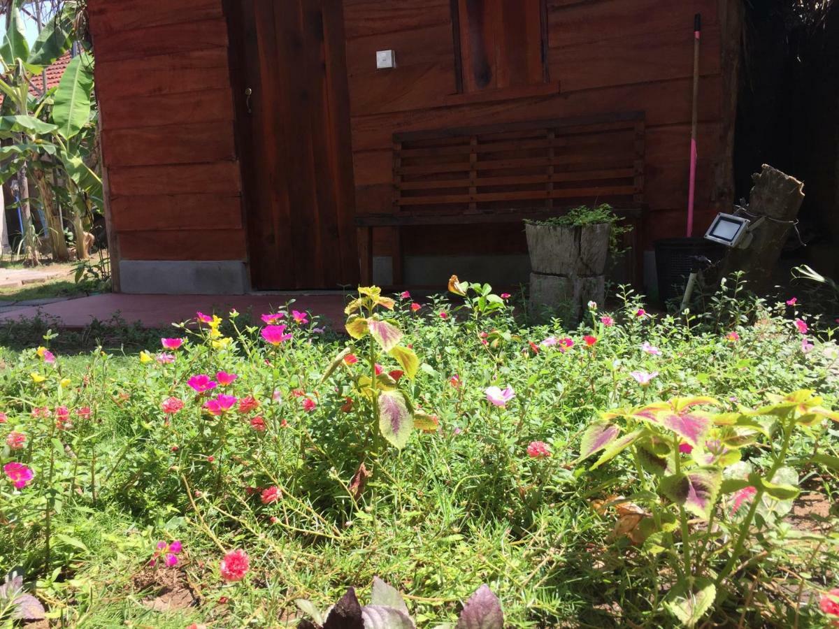 Lemon Tree Hostel Arugam Bay Exterior foto
